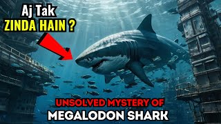 क्या मेगालोडन शार्क अभी भी जीवित है Megalodon Shark Mystery ৷ Gupt Rahasya Hindi [upl. by Hildick]