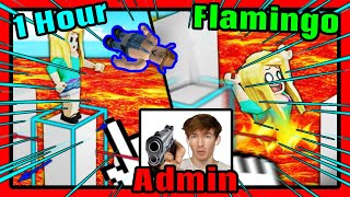 1 Hour of Flamingo Roblox Admin why not [upl. by Dewitt970]