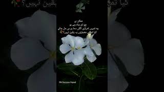 Deep linesurdu statusurdu linesurdu shortyoutubeshorts [upl. by Arag186]