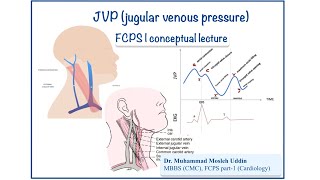 JVP jugular venous pressure  part 1 [upl. by Poll]