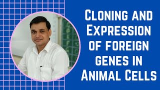 Cloning and expression of foreign genes in animal cells  Over production of proteins [upl. by Odlonra]