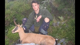 Chamois Hunting Torlesse Range Canterbury  Archive footage from 2005 [upl. by Moshell404]