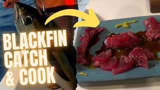 Catching and Cooking a fresh Blackfin Tuna [upl. by Nnoj]