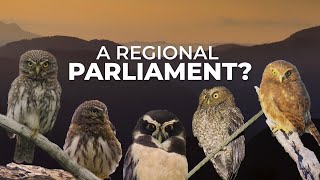 A Regional Parliament of Owls [upl. by Htiek487]