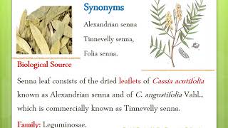 Pharmacognostical Study of Senna Anthraquinones glycosides [upl. by Viviene]