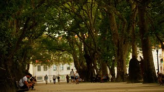 Porto Vlog Capturing the Magic of This Enchanting City [upl. by Heinrik]