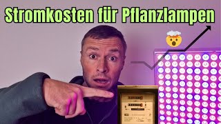 Wie teuer ist der Strom für Pflanzlampen wirklich 💸🌱 [upl. by Donica766]