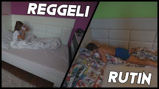 REGGELI RUTINUNK LAURA VS NORMAN [upl. by Aderf]