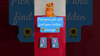 🎊 Pick your pile 🎊 tarot onlinetarotreadings shorts viralvideo [upl. by Beret]