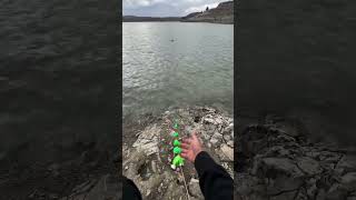 Life chal zilay zilay go gya fishingvideo [upl. by Fidelity]