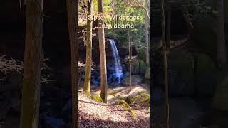 Hiking in The Sipsey Wilderness hiking survival camping wow waterfall trails mountains fun [upl. by Annmarie]