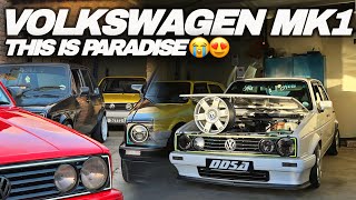 I FILLED MY DRIVEWAY WITH VOLKSWAGEN GOLF MK1’S🔥😁dream come true [upl. by Neillij]