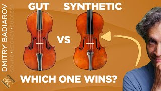 Synthetic Violin Strings VS Gut [upl. by Tedric280]