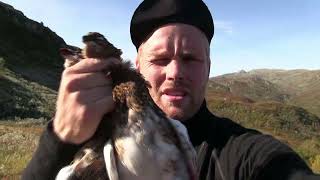 Trailer  Rypejakt i Rypas Rike 2 Ptarmigan Hunting  Grouse Hunting [upl. by Imogen918]