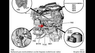 Component Locations on MercedesBenz CClass W204 Part 08 [upl. by Arlin]