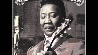 Muddy Waters  Catfish Blues [upl. by Lamahj]