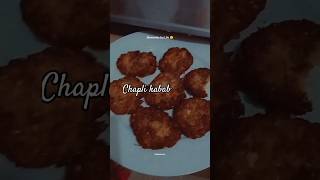 chapli kabab recipe [upl. by Aihsemaj237]