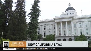 Slew of new California laws set to go into effect in 2024 [upl. by Seda]