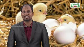 KALVI TV OFFICIAL  முப்பரிமாணம்  STD 12 TM  BIO ZOOLOGY  REPRODUCTIVE HEALTH PART 01 [upl. by Mond]