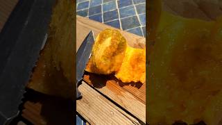 Eating a Delicious Orange Prickly Pear Fruit from a cactus plant [upl. by Rutan116]