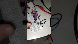 PROGETTO BREADBOARD  DIODI LED  CONDENSATORI  Test carica e scarica [upl. by Nayllij]