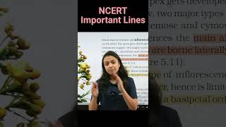 Racemose vs cymose inflorescence  NCERT important lines for NEET  Revision Biology NEET [upl. by Oreves314]