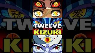 The Twelve KizukiTwelve Moons demonslayer explained kny fyp demon viralshort [upl. by Ylicec]