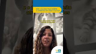 Nossa endocrinologista veterinária DraJuliana explica sobre diabetes em cães e gatos veterinaria [upl. by Ramuk712]