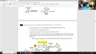 Biochem 2 Ch 9 Biologically Important Amino Acid Derivatives Part 2 [upl. by Tessie]