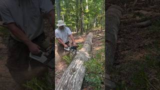 Ported STIHL 500i all day chain in red oak [upl. by Icaj44]