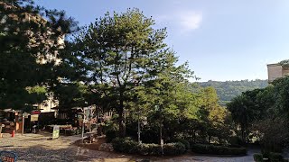 LIDO FORESTRY SPA RESORT AT YANGMEI TAOYUAN TAIWAN [upl. by Sirc]