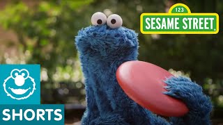 Sesame Street Catch allnew episodes of Sesame Street [upl. by Mathre]