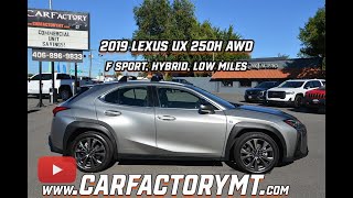 Lexus UX 250H F Sport Hybrid AWD Low Miles [upl. by Drye]