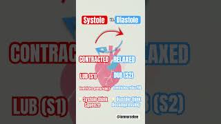 Systole vs Diastole systolic diastolic nursingschool nursingschoolstudents nursingstudent [upl. by Idnyc]