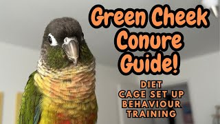 Green Cheek Conure Guide  Conure Care Guide  Diet Cage Behaviour Training  TheParrotTeacher [upl. by Treblah326]