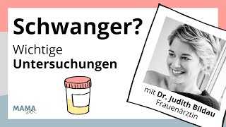 Untersuchungen in der Schwangerschaft Vom ToxoplasmoseTest bis zum Zuckertest  alles erklärt [upl. by Enomor166]