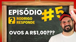 Dá pra vender OVOS a R100 DESCUBRA A VERDADE 🤑 [upl. by Aer]