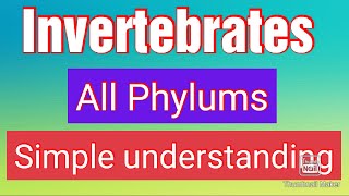 InvertebratesAll phylaAnimal biodiversity 1BiologyINVERTEBRATESA complete Understanding [upl. by Oliviero]