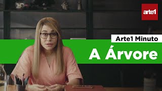 ALESSANDRA NEGRINI comenta A ÁRVORE híbrido teatro e cinema  Arte1Minuto [upl. by Selegna]