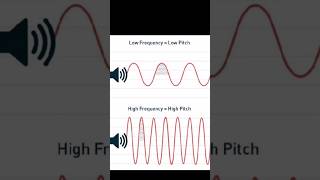 Characteristics of sound  loudness  pitch  quality  education science sound class school [upl. by Yancy843]