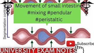 movements of small intestinetypes of small intestine movementsmedicoscontent3135 [upl. by Aronael]