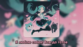 Мику  Я люблю собак Suno AI [upl. by Aisinut]