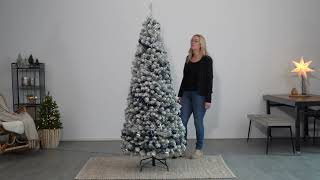 Everlands 7ft Pop Up Tree Assembly [upl. by Nils]