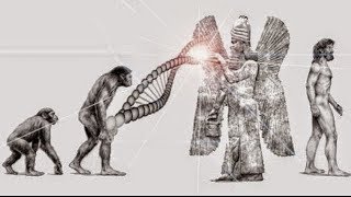 Die Anunnaki  Wahre Erschaffer der Menschheit Neue Evolutionstheorie [upl. by Nosrac352]