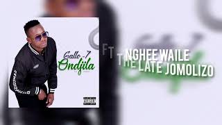 Nghee waile ft the late Jomolizo [upl. by Oletha]