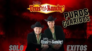 DUETO VOCES DEL RANCHO MIX 10 EXITOS CORRIDOS [upl. by Seto692]