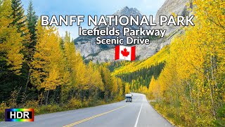 4K HDR Scenic Drive Banff National Park  Icefields Parkway  Alberta Canada [upl. by Ayidah73]