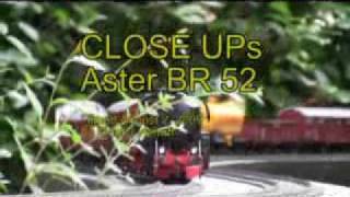 Aster BR 52 Close Ups [upl. by Nooj]