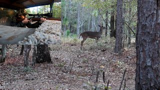 SC Deer Hunting 2023 Buck runs into stand [upl. by Krug]