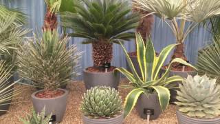 RHS Chelsea Flower Show 2017 [upl. by Ravid]